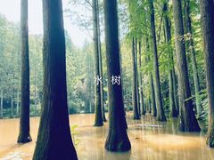 -波尔登森林公园
