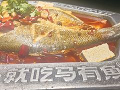 -马有鱼·馕坑烤全鱼(美美2店)