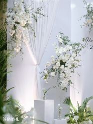 -Sugar苏格婚礼策划工作室