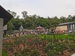 -清湖文化公园