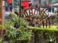 -青城甲(青城山店)