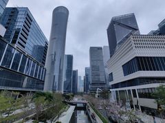 -深圳湾万象城(南山店)