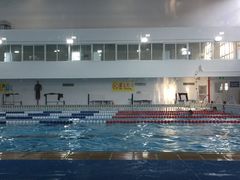 -七宝中学游泳馆