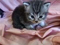 -海底捞火锅(吉利大厦店)