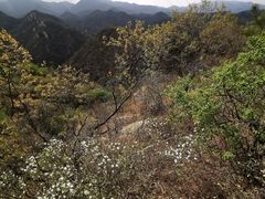 -碓臼峪自然风景区