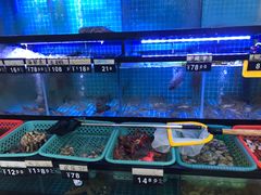 -冯姐生蚝(长隆横琴店)