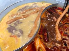 -青瓷火锅料理(西单大悦城店)