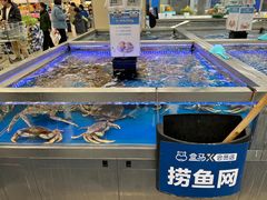-盒马X会员店(上海森兰商都店)
