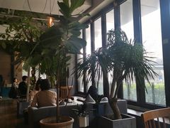 大堂-the rug 飞毯 (朝阳公园店)