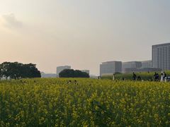 -光明小镇欢乐田园