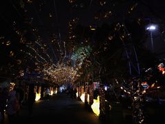 -锦江乐园舞狸花花游园会(夜场专享)