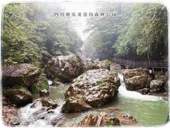 -龙苍沟森林公园