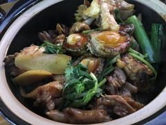 -芳村榕树头叹佬鸡煲(体育西店)