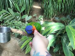 -南宫五洲植物乐园