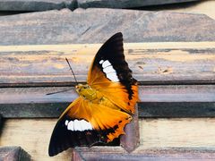 -宁波溪口古镇-民国大杂院