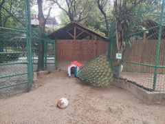 -香宫中餐厅 · 桂林香格里拉