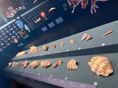 -上海中国航海博物馆