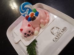 -猫小院猫主题咖啡厅(北锣店)