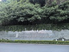 -杭州千岛湖滨江希尔顿度假酒店