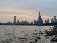 -深圳湾公园(南山区)