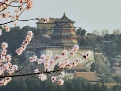 -颐和园