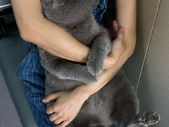 -瑞派宠物医院·犬猫全科·猫友好(宾水西道店)