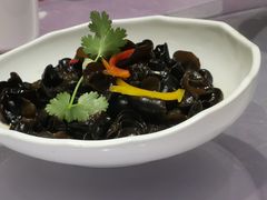 爽口东北小木耳-宝燕壹号(徐汇店)