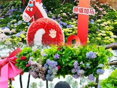 -天适樱花悠乐园