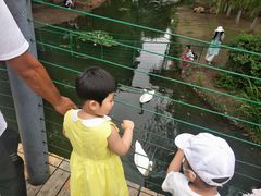 -长白岛森林公园