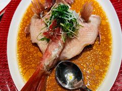 -圆苑(静安寺店)