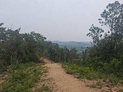 -青龙山国家森林公园