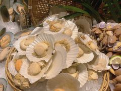 -顺德美的万豪酒店·自助餐·贡厨