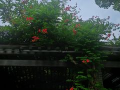 -东山雕花楼