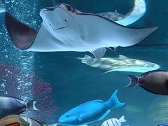 -沈阳海洋探索中心