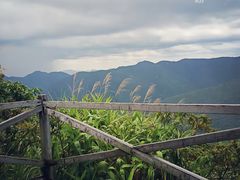 -海南霸王岭国家森林公园