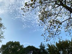 -西北湖绿化广场