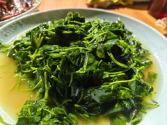 酒香草头-双塔老饭店