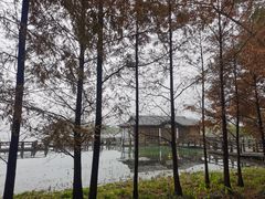 -渤公岛生态公园