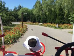 -永定河休闲森林公园