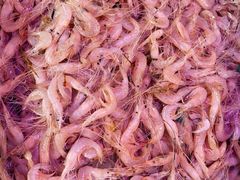 -芦潮港集贸市场