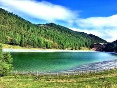 -武陵山森林公园