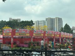 -天河体育中心