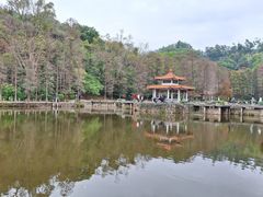 -深圳仙湖植物园