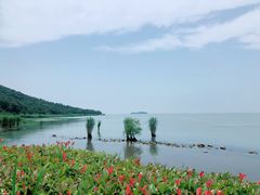 -梨云山居农家乐