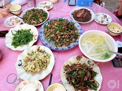 -铁山坪森林公园