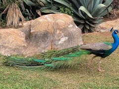 -昆明动物园