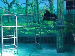 -宁波野生动物园