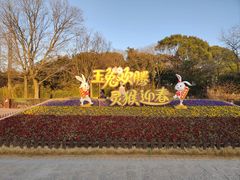 -上海野生动物园