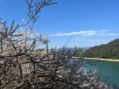 -广州市流溪河国家森林公园