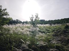 -大连蚂蚁岛度假区